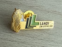 Pin Landi am Bichelsee