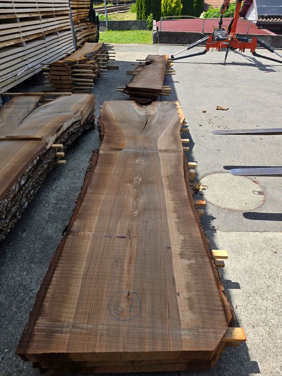 Articoli in legno: Nussbaumbrett Nr.67 – Nuovo (secondo la descrizione) da Lützelflüh-Goldb venduto da ch.waelchli-holz.ch 1