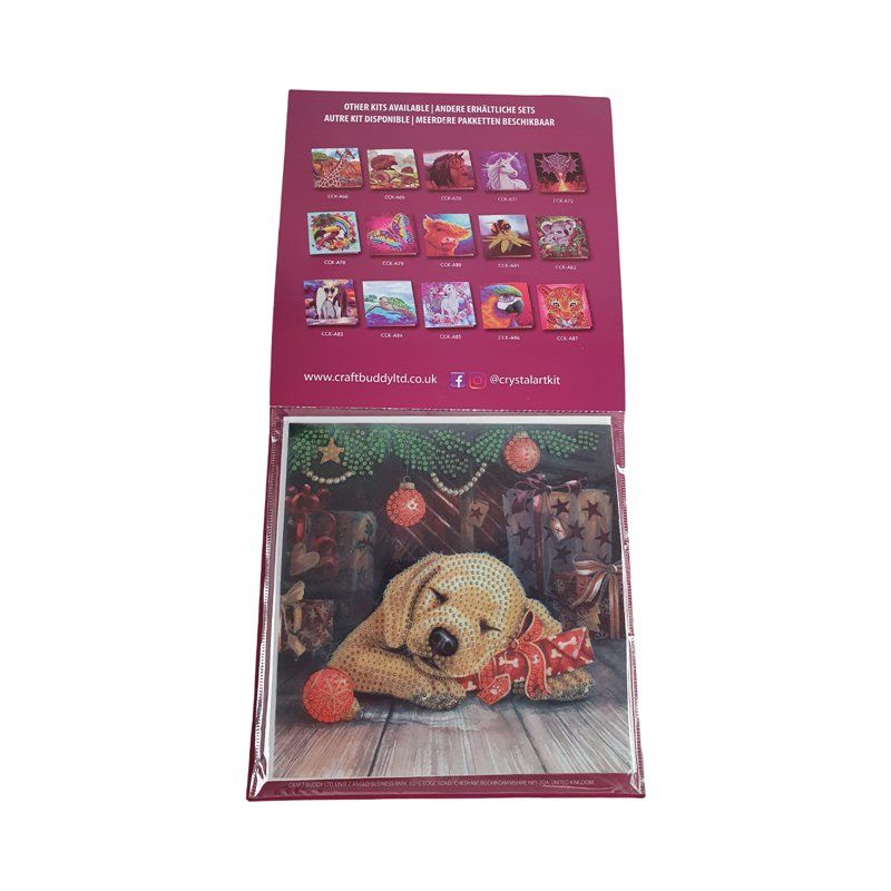 Kit bricolage: Craft Buddy Card Kit – Usato da Wangen b. Olten venduto da Restwert_Wangen 2