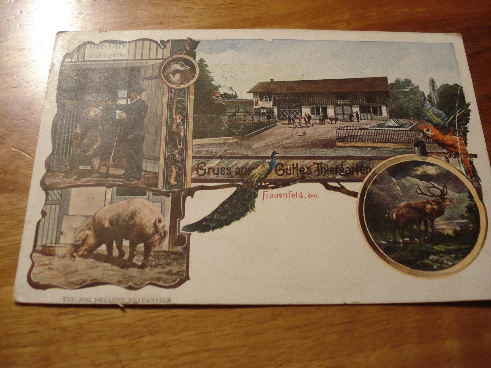 Cartoline postali: Frauenfeld - Gütle's Thiergarten um 1903, farbig – Usato da Niederwil AG venduto da morostahu