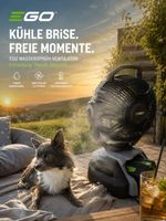 EGO Akku-Ventilator 25 cm mit Sprühnebelfunktion im Kit
