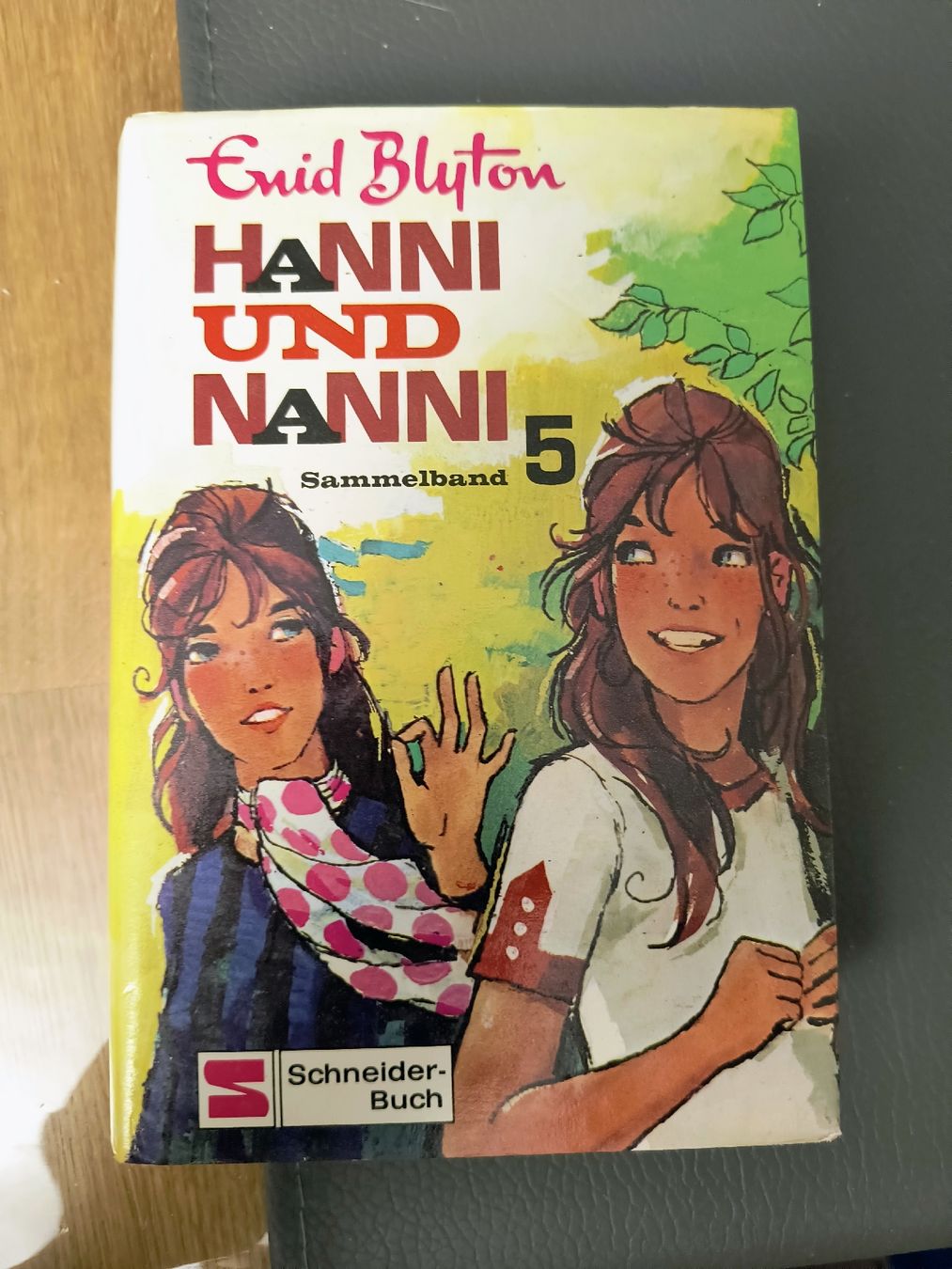 Bücher: Hanni und Nanni Sammelband 5 – Gebraucht aus Schöfflisdorf von KKB-Team1