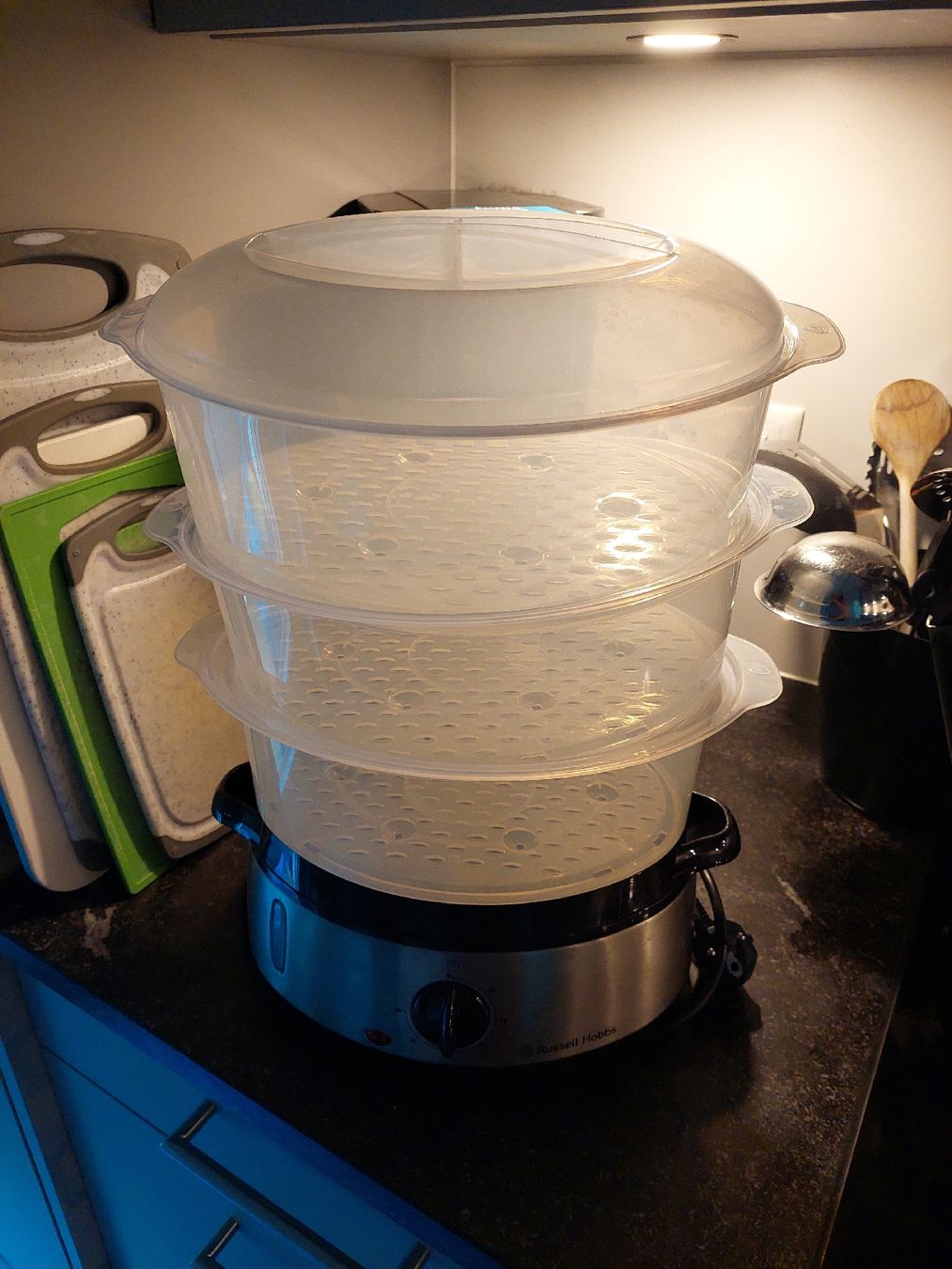 Russell Hobbs Küchengeräte: Dampfgarer – Gebraucht aus Wallisellen von eli_w9y6 1