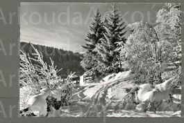 AK sw Flims GR Winter- Motive ≈ 1960