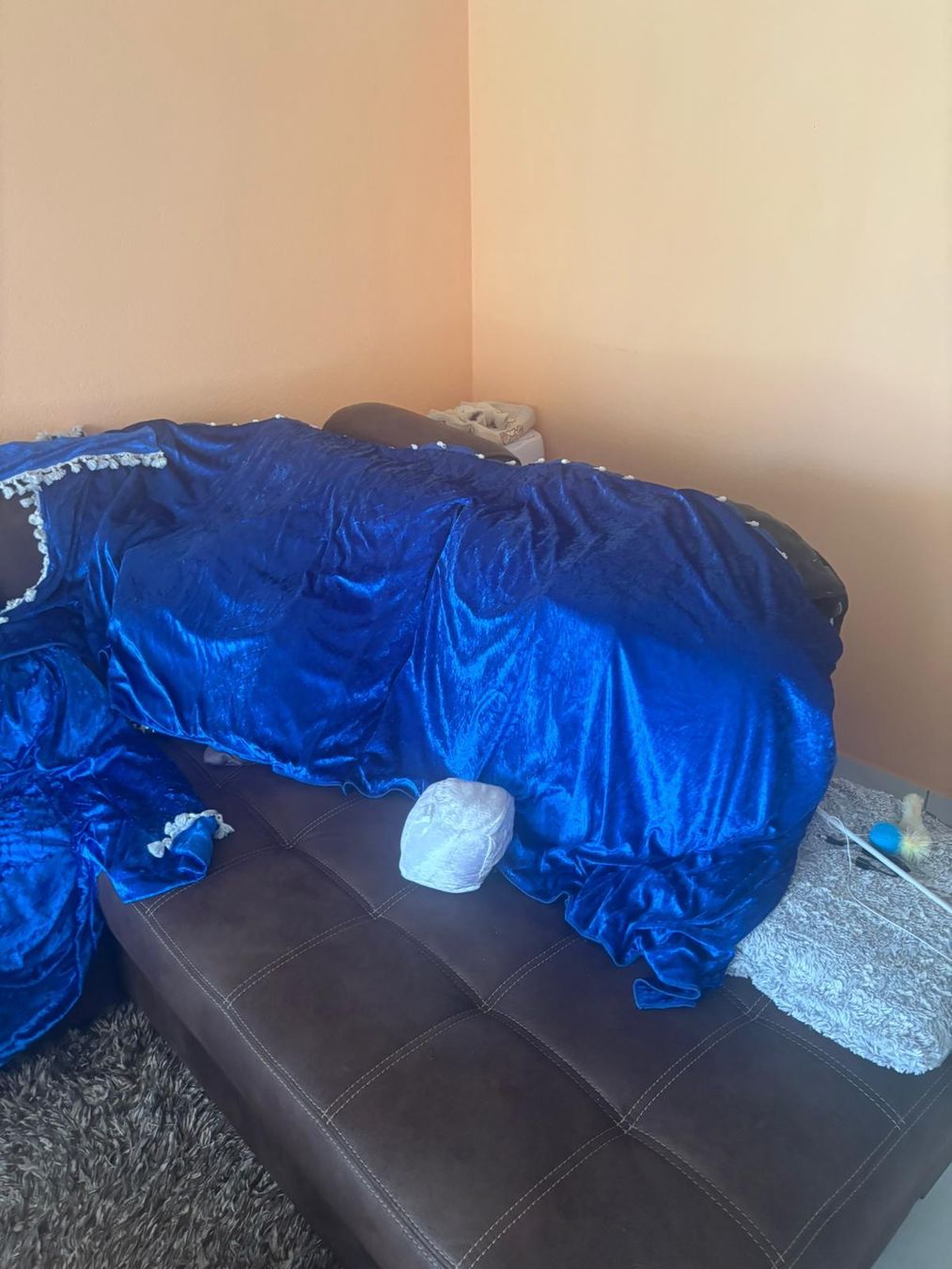 Toutes les décorations: Lkw Vorhang – D'occasion à Matzendorf par and_h96x 4
