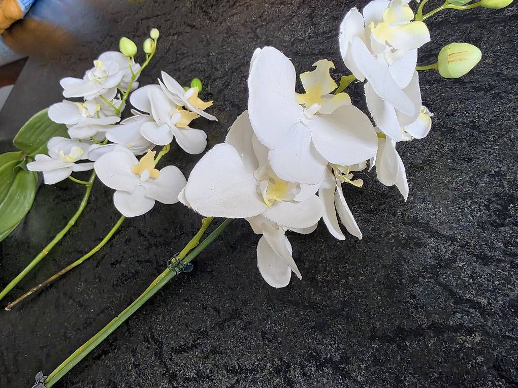 Tutte le decorazioni: Kunst Orchidee – Usato da Haslen AI venduto da jas_5dv9 1
