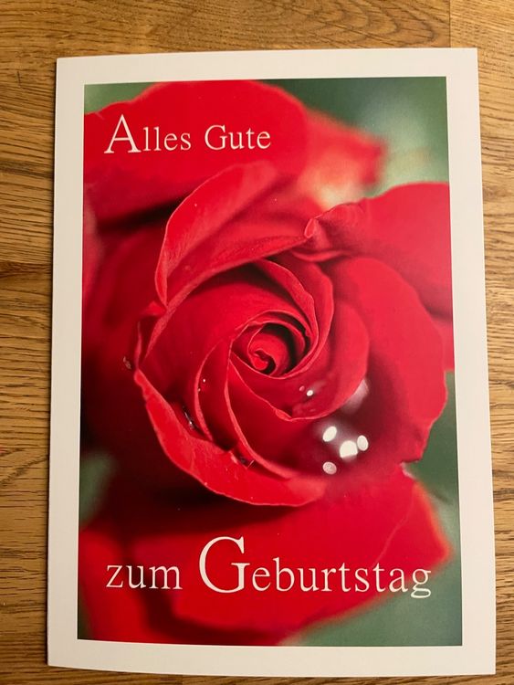 Musikalische Geburtstagskarten Mit Vögeln – 4er-Set Bunt & Kreativ – Inkl. Umschläge