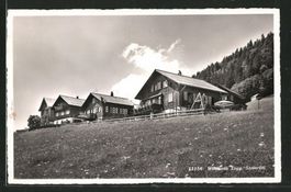 Wildhaus, Steinrüti, gelaufen 1949