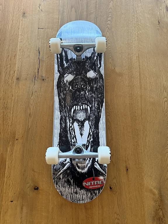Skateboards: Skateboard – Nuovo (secondo la descrizione) da Römerswil LU venduto da MDegen