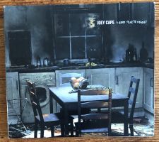 Joey Cape – A Good Year To Forget CD, Punk