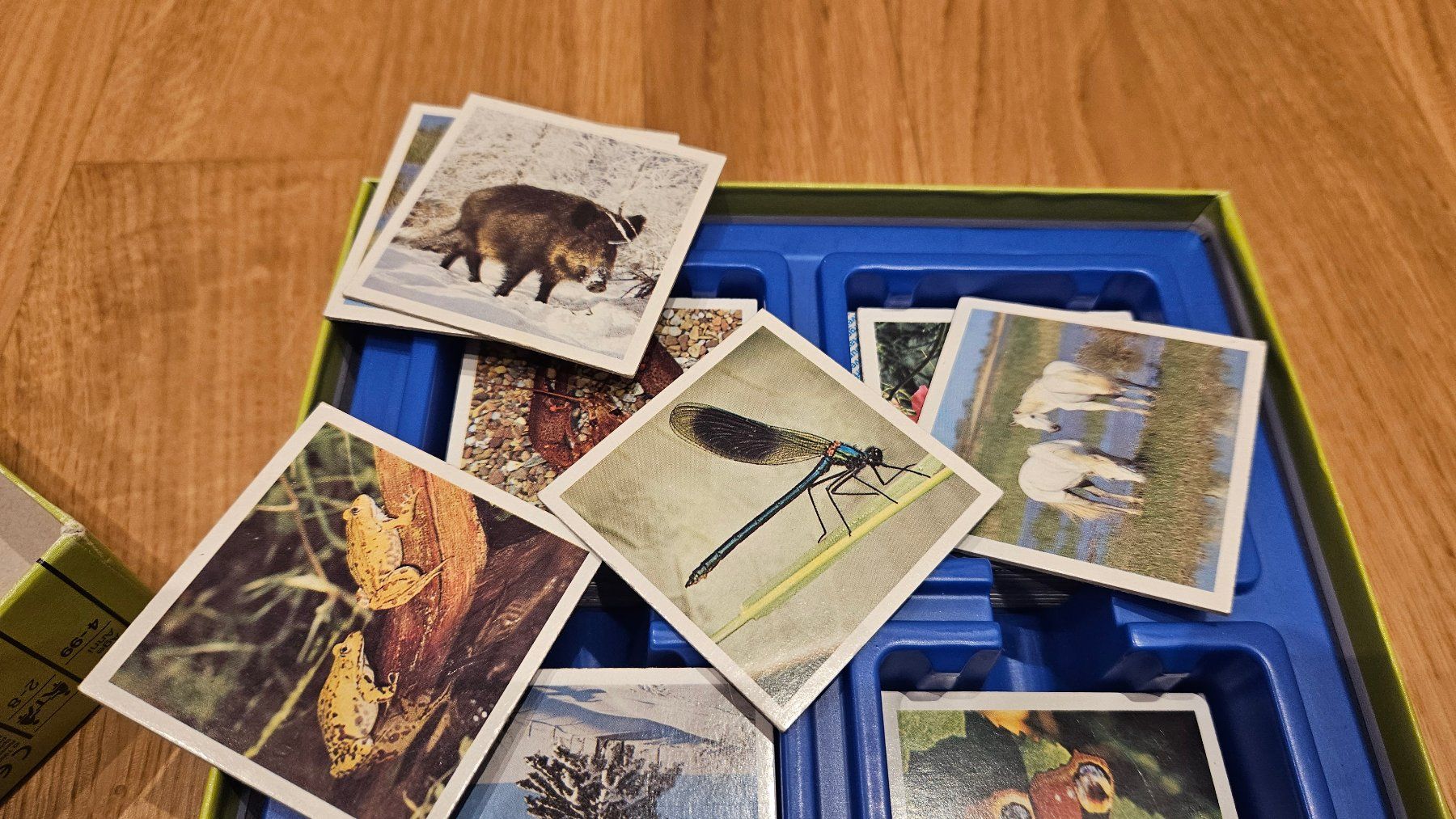 Ravensburger Giochi: Memory Natur Ravensburger – Usato da Gossau SG venduto da dolores_x 2