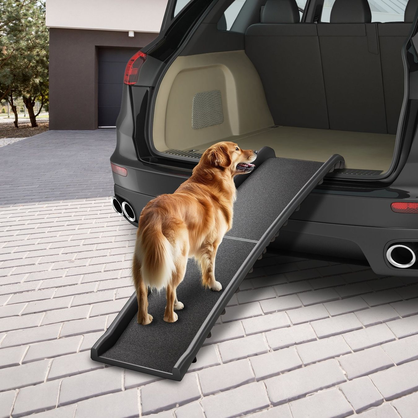 Gabbie, trasporto & Sicurezza: Hunderampe Paw Step – Nuovo (secondo la descrizione) da Murten venduto da Roland.Kemmer.AG 9