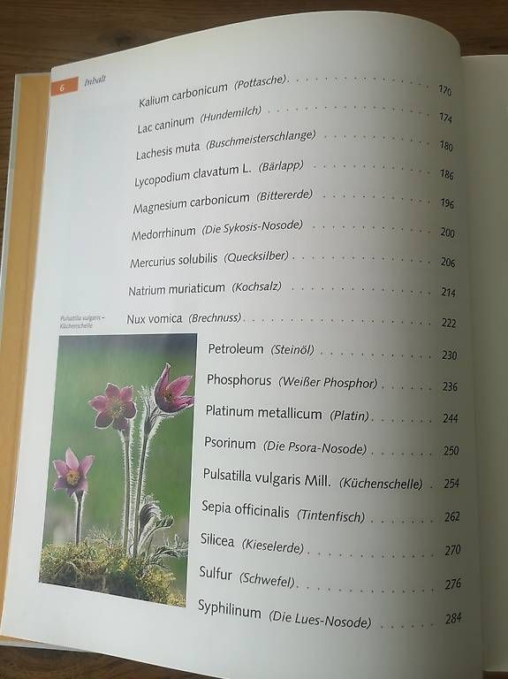 Libri: Handbuch der Homöopathie – Usato da Rothenburg venduto da Priska_70 3