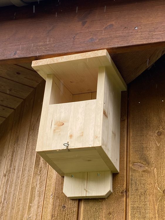 Nistkästen für Vögel Kaufen auf Ricardo