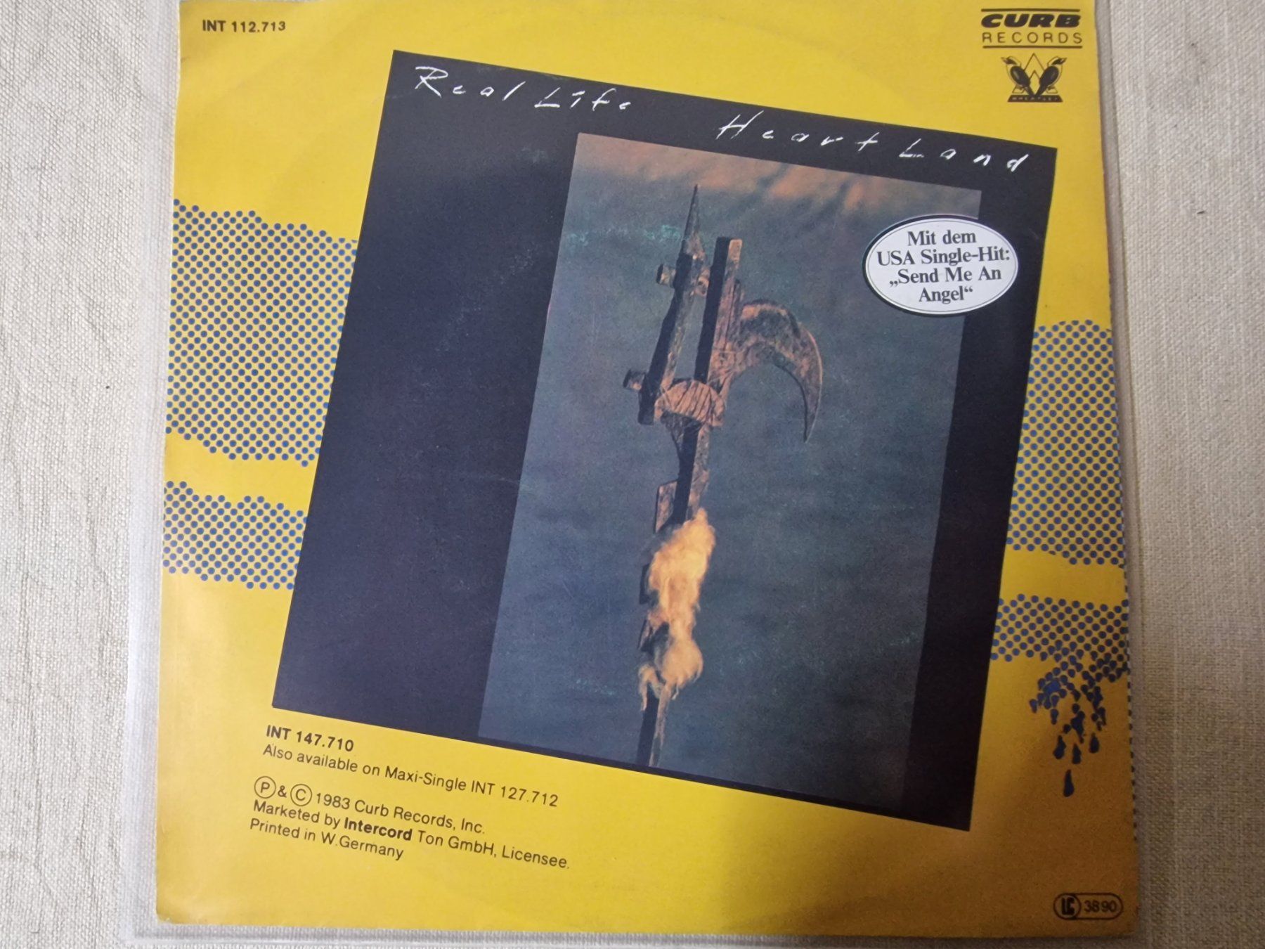 Schallplatten: Real Life Single – Catch Me I'm Falling – Gebraucht aus Root von atelier22 1