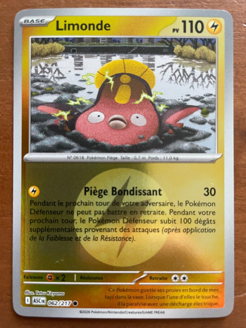 Pokémon Carte collezionabili: Pokemon Limonde Reverse (Versand gratis) – Nuovo (secondo la descrizione) da Chur venduto da Angerson
