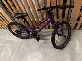 Kindervelo Specialized Hotrock 20 Zoll violett 