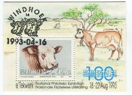 Block "Swiss Fleckvieh". Namibia.