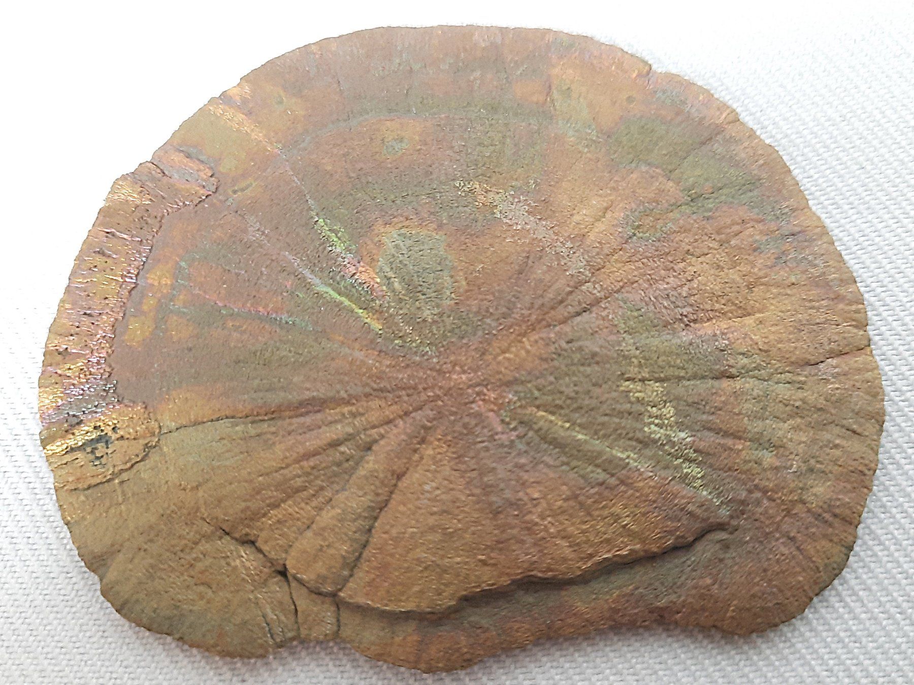 Mineralien & Heilsteine: 1 Pyrit -Sonne – Gebraucht aus Beinwil am See von Restwert_Beinwil 3