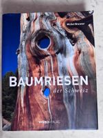Baumriesen der Schweiz – Michel Brunner – 2. Auflage (2010)