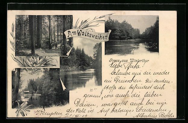 Cartoline postali: AK Winterthur, Ansichten des Walkeweiher – Usato da Berlin venduto da bartko-reher