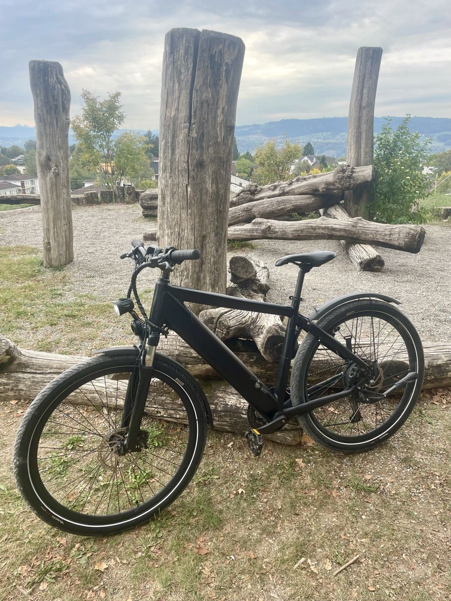 Trelago Vélos: S Pedelec/E-Mountainbike – D'occasion à Uster par FRIEDEN8610