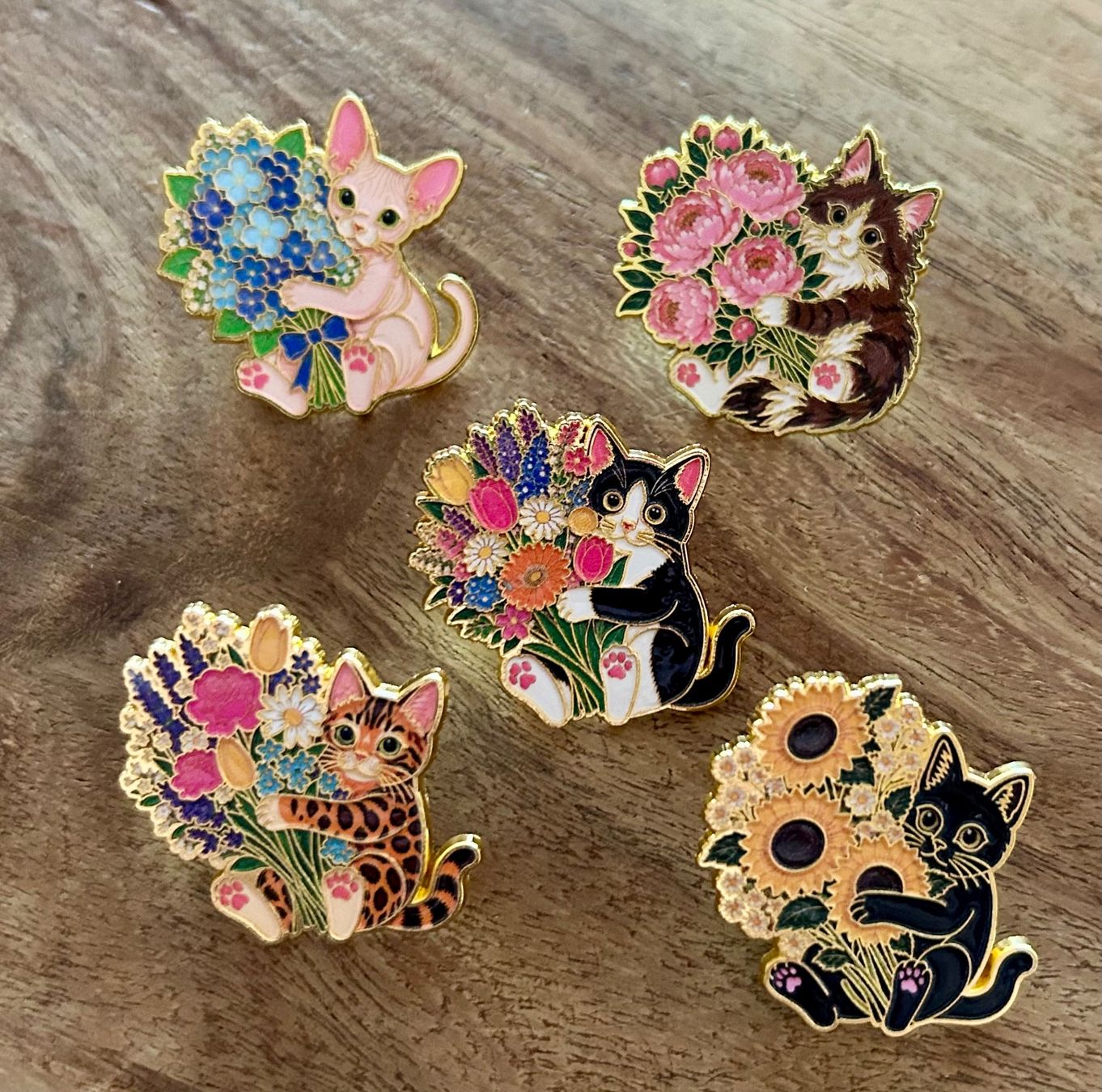 Plaquettes & Badges: Set 5x Pin Katzen – Neuf avec emballage d'origine à Geneve par vane267