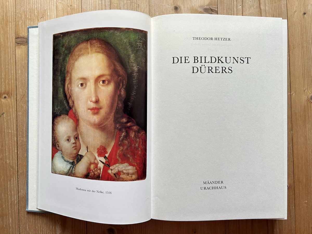 Libri: Theodor Hetzer - Die Bildkunst Dürers – Usato da Himmelried venduto da rasmus67