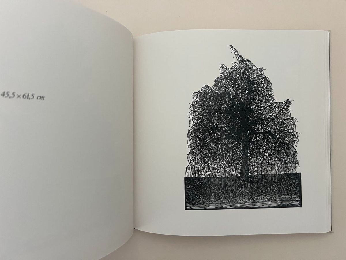 Grafica & Litografie: BUCH: Werner Häfeli, Scherenschnitte – Usato da Rain venduto da Pic-Ass 9