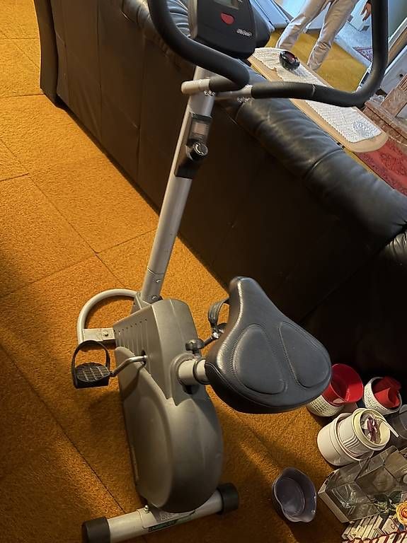 Hometrainer: Bici da camera e Tapis roulant – Usato da Balerna venduto da sil_s2xf 1