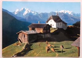 Bettmeralp 1930 m