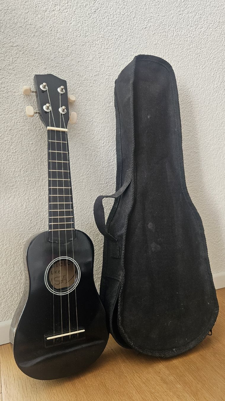 Strumenti musicali: Sopran Ukulele mit Tasche und Lehrbuch – Nuovo (secondo la descrizione) da Adliswil venduto da jul_rqj5