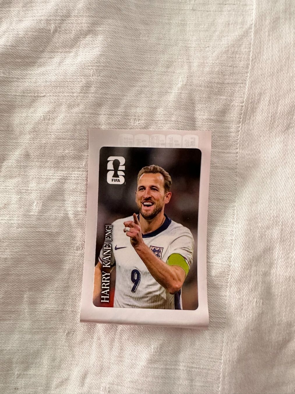 Panini Sammelbilder & Trading cards: 9 Panini Bilder – Gebraucht aus Pfäffikon SZ von elfenhaar 1