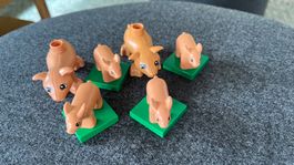 LEGO DUPLO Ferkel, Schwein Schweine
