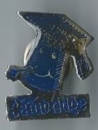 Cambridge PIN