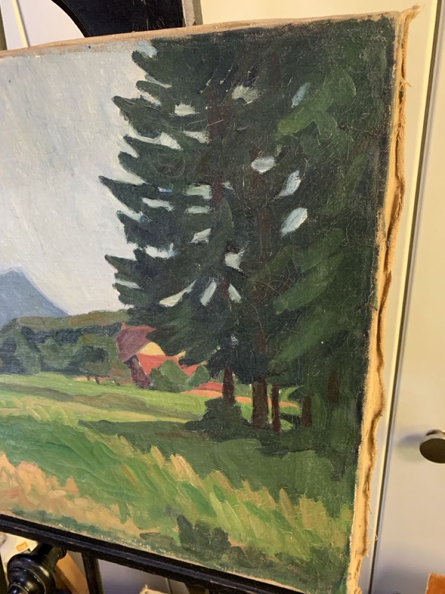 Dipinti: Aulandschaft Ernst… – Usato da Wolfhalden venduto da SecondAntique 1