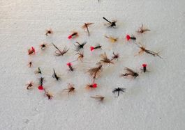 30 Stück verschidne Fliege und Nymphen