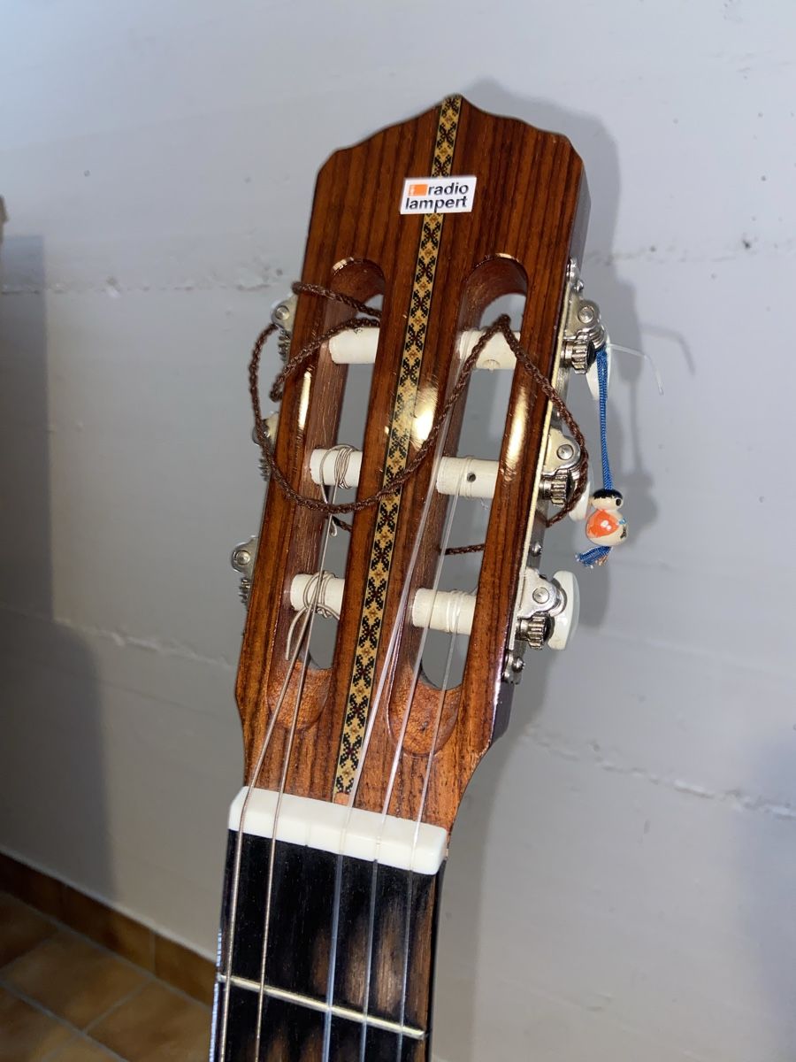 Instruments de musique: Guitare et housse  – D'occasion à Mont-sur-Lausanne par lau_2775 2