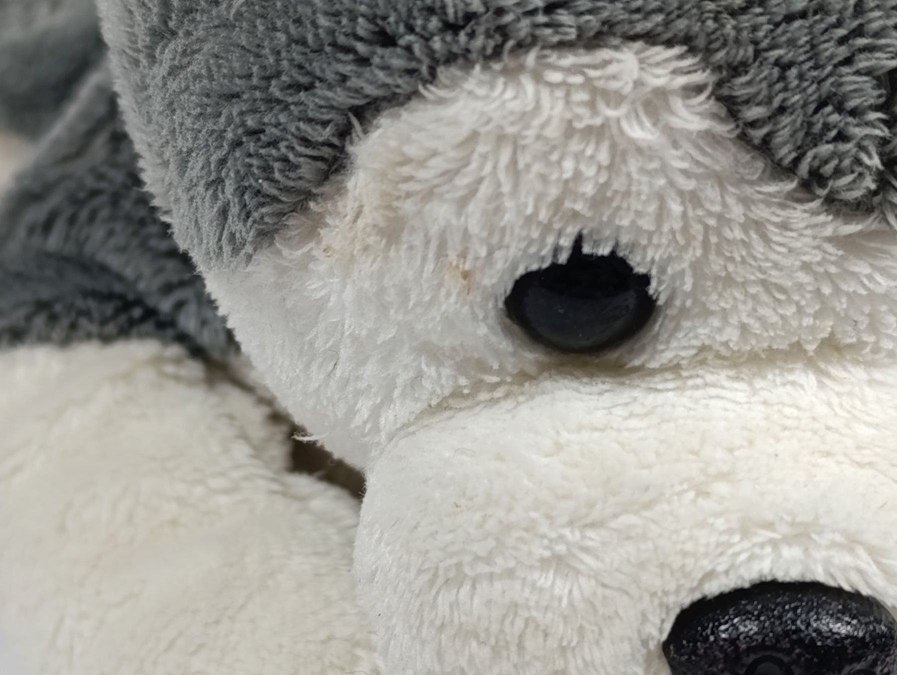 Migros Spielzeuge: MIGROS Peluche de chien gris et blanc – Gebraucht aus Thielle von Plusvalue_Neuchatel 4