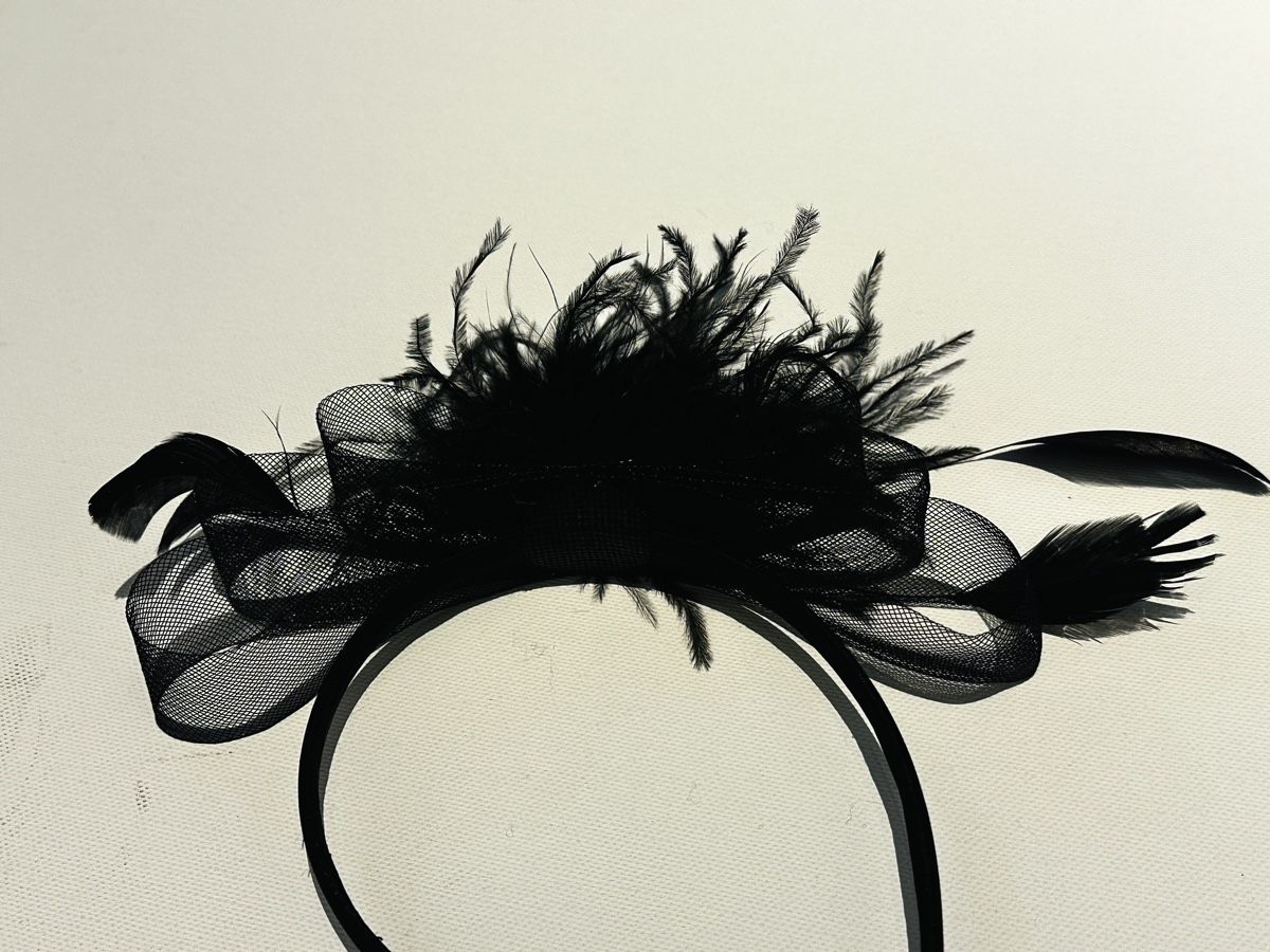 Haarschmuck: Fascinator - Haarreif – Neu und originalverpackt aus Rorschach von car_wbc5 2