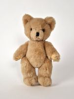 Charmanter Teddybär
