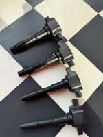 4 Zündspulen Eldor 224332428R