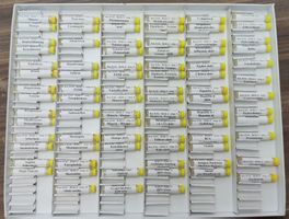 Keymer Testkasten Kinderkrankheiten / Erbtoxine / Impfungen