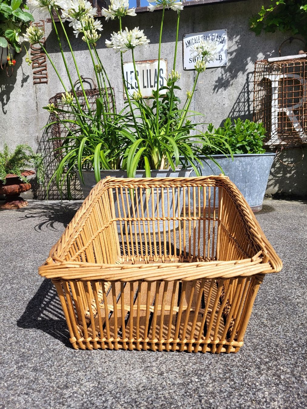 Altro per la casa: rattankorb, garten, terasse, windelkorb, vintage,weidekorb – Usato da Frutigen venduto da Tipp1 2