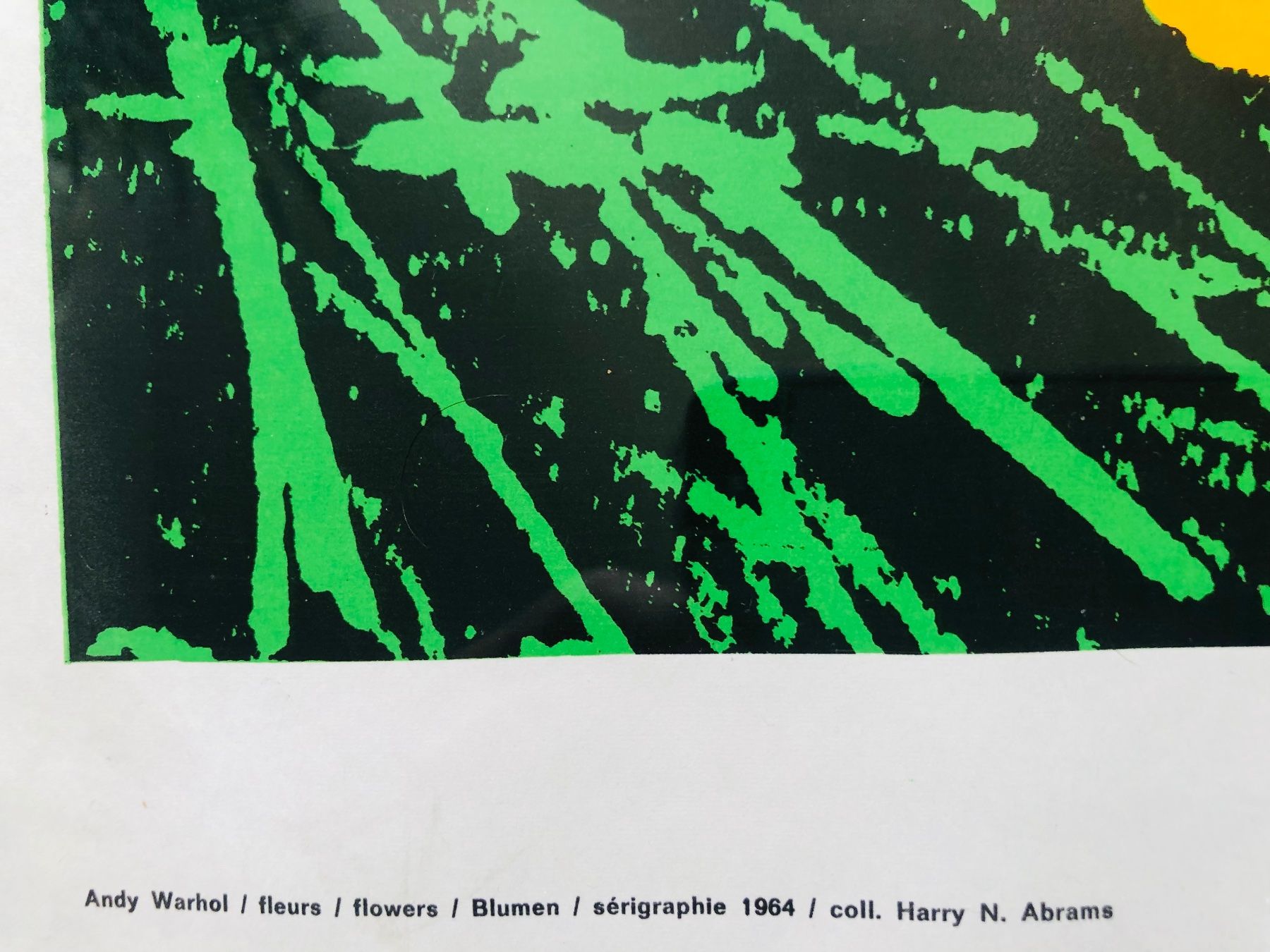 Grafica & Litografie: ANDY WARHOL "Flowers" orig. Serigraphie,  Castelli Copyright – Nuovo (secondo la descrizione) da Luzern venduto da dichsel 2