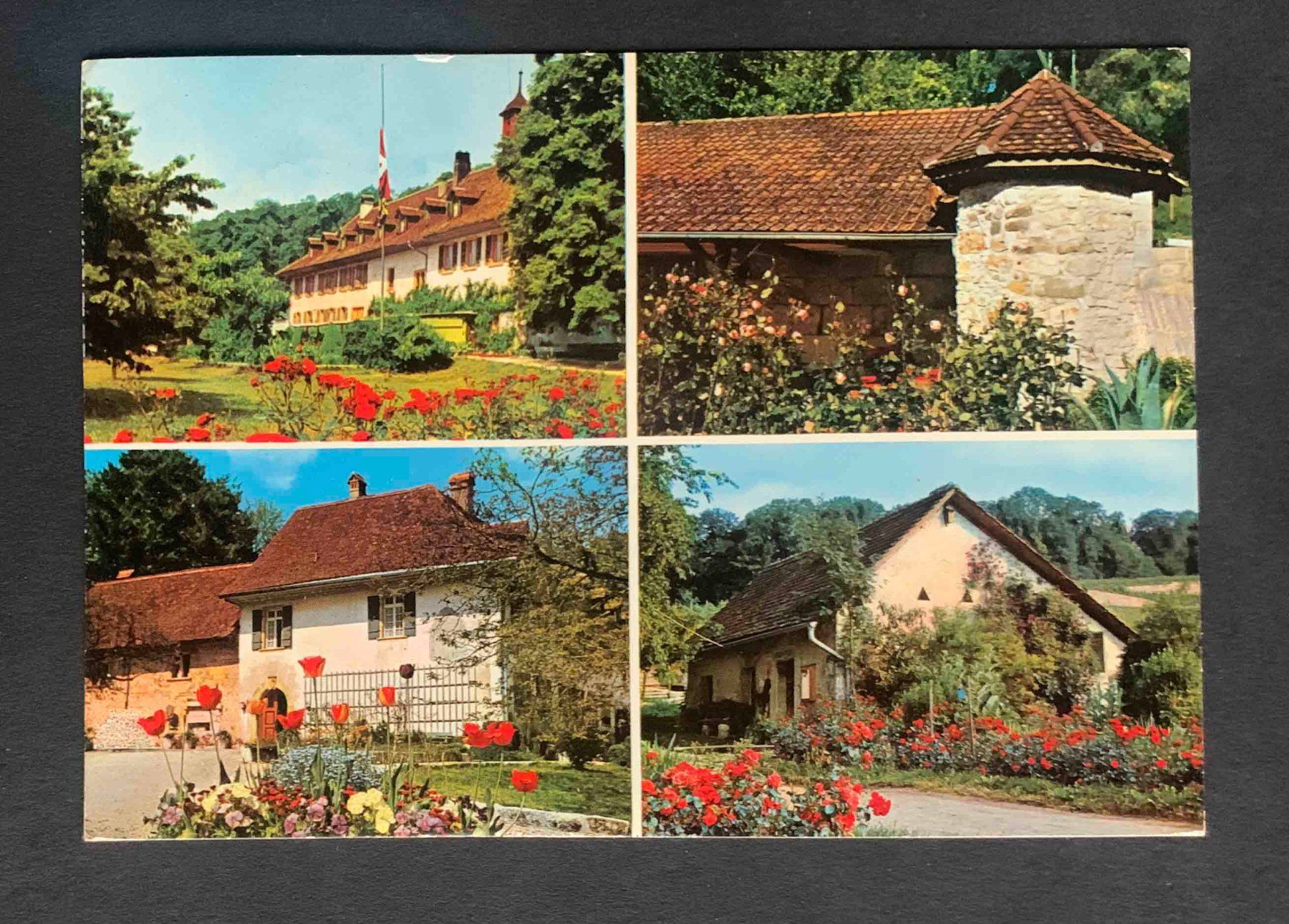 Cartoline postali: AK St Petersinsel Bielersee – Usato da Goldau venduto da artelier1