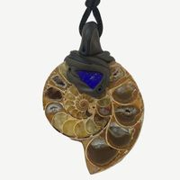 Ammonit Fossil Steinanhänger mit eingefasstem Lapislazuli