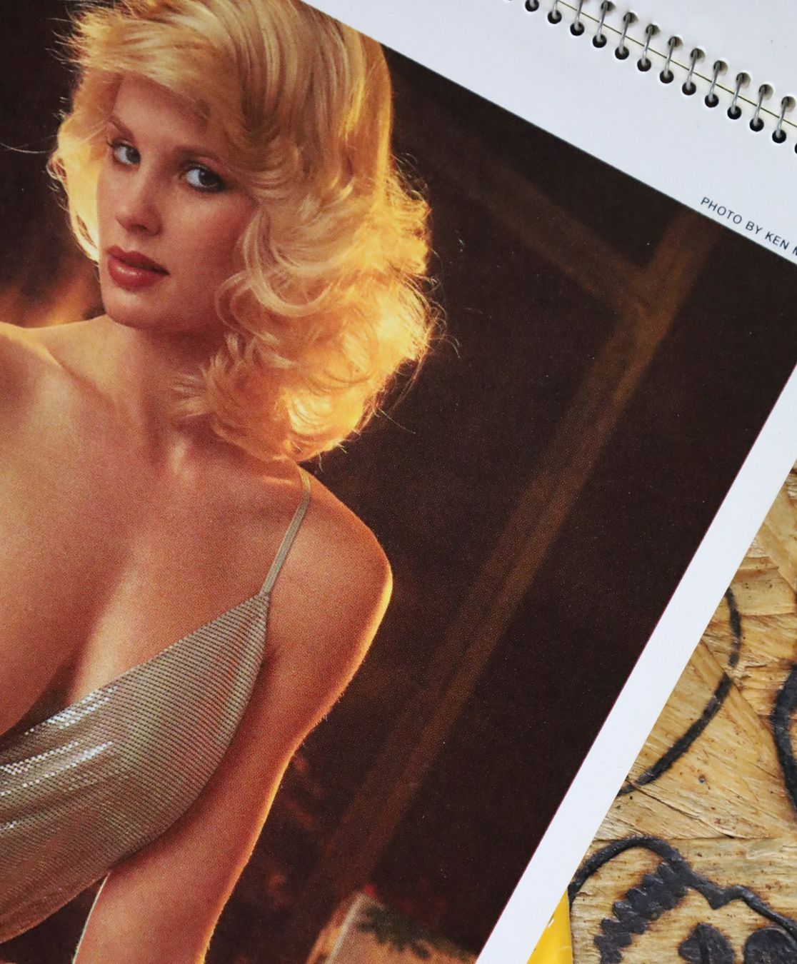 Playboy Calendari: PLAYBOY Kalender 1981 – Usato da Birrwil venduto da brandschatz_birrwil 6