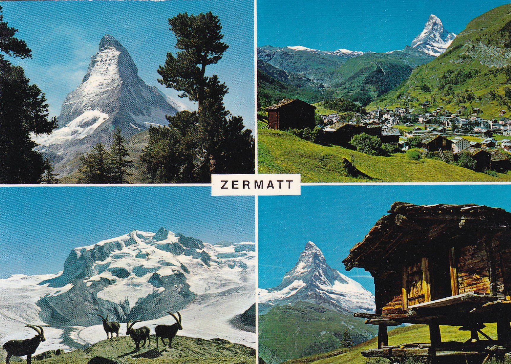 Cartes postales: Zermatt Multivues – D'occasion à Cormoret par Pascalll2001
