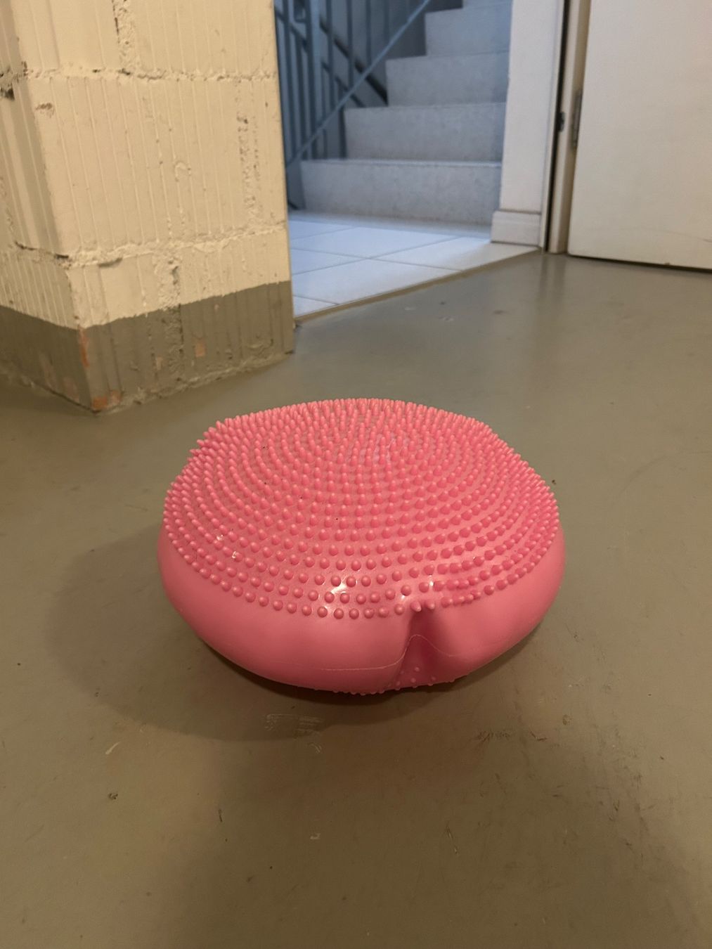 Hometrainer: Balance Kissen/Trainer Igel Physio – Usato da Wabern venduto da belka72